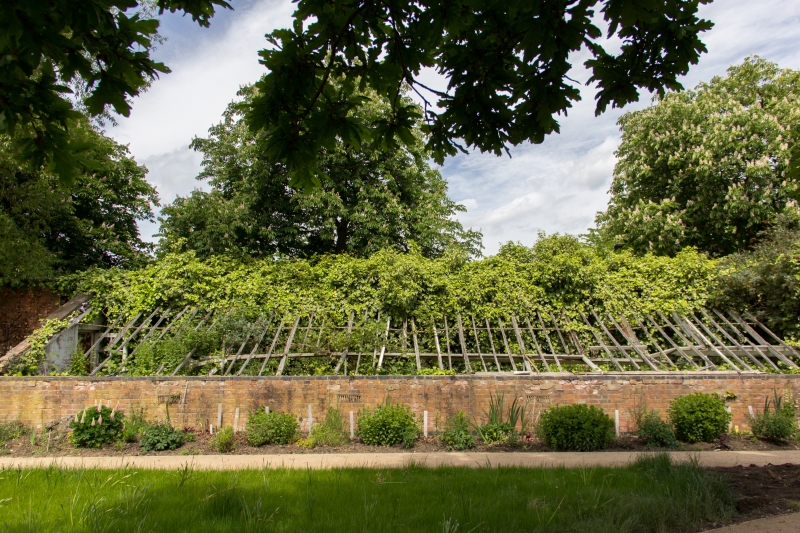 The Secret Garden, Glenfield Hospital